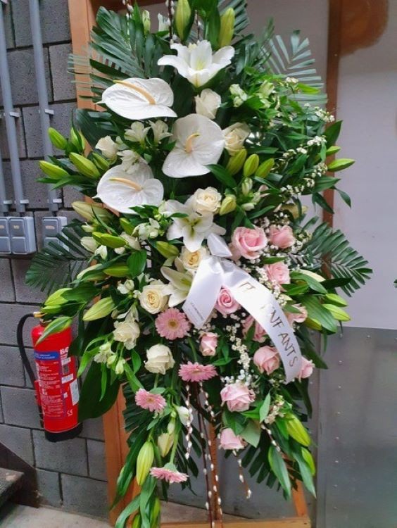 thumbnail_image0 (3)