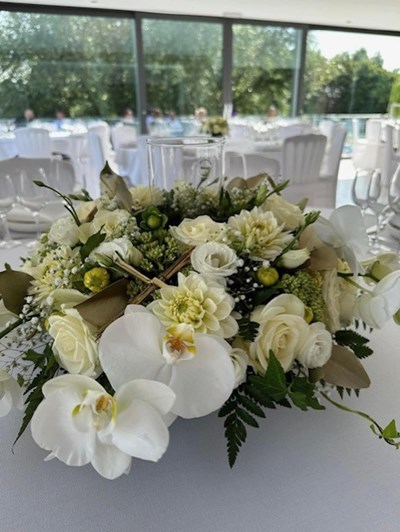 thumbnail_image1 (7)