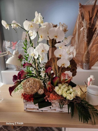 thumbnail_image5 (2)